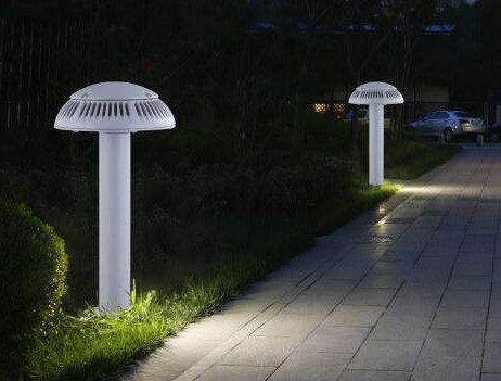 ��ƺ�Ƴ������⼰�������